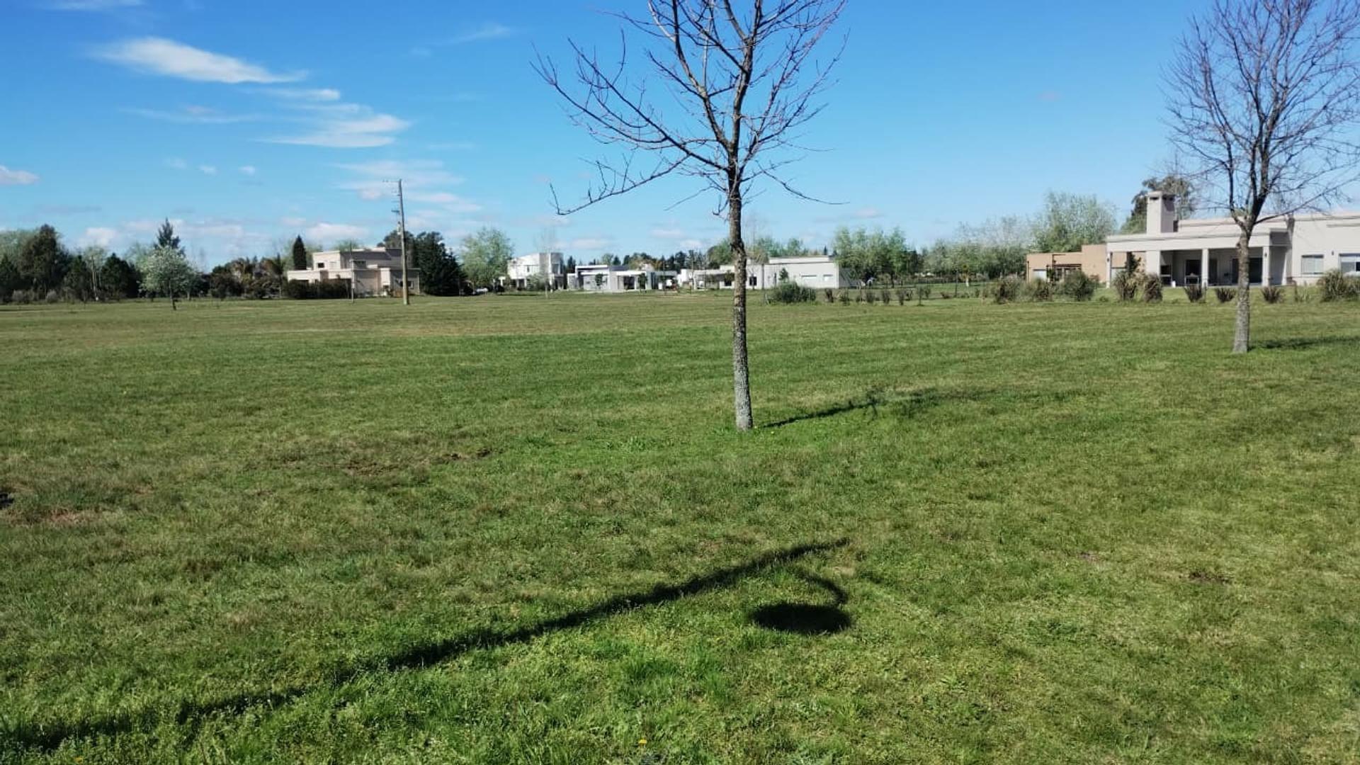 Av Juan Pablo Ii 1600