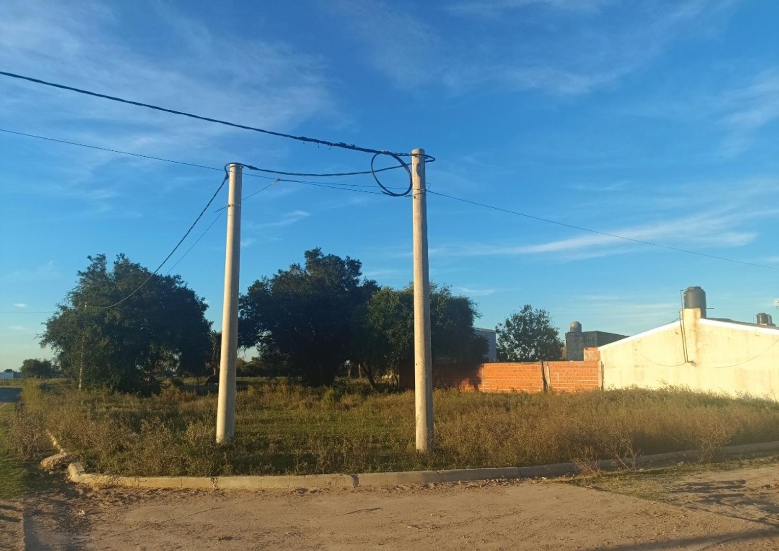 Jaime De Nevares 800