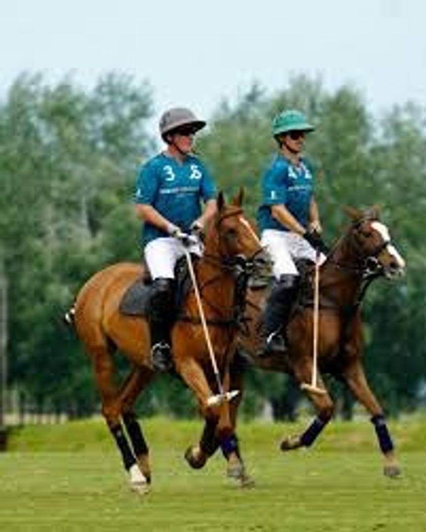 Terreno en Venta de 20000,0 m2