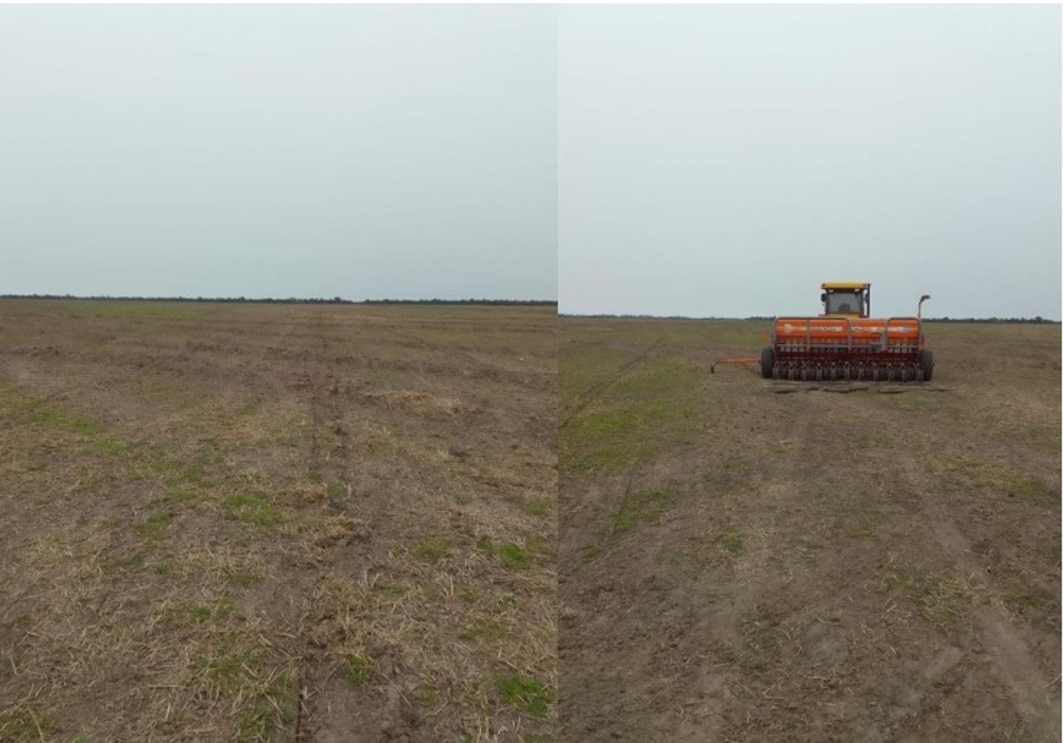 Campo 2250 hect Mixto Arrocero Perugorria Corrientes