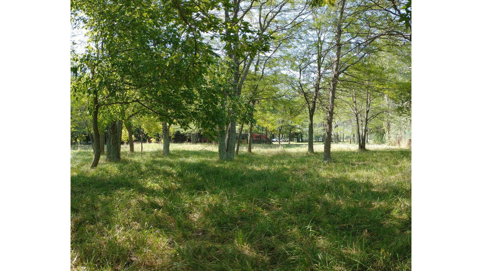 Casa 2 ambientes con 1 baño