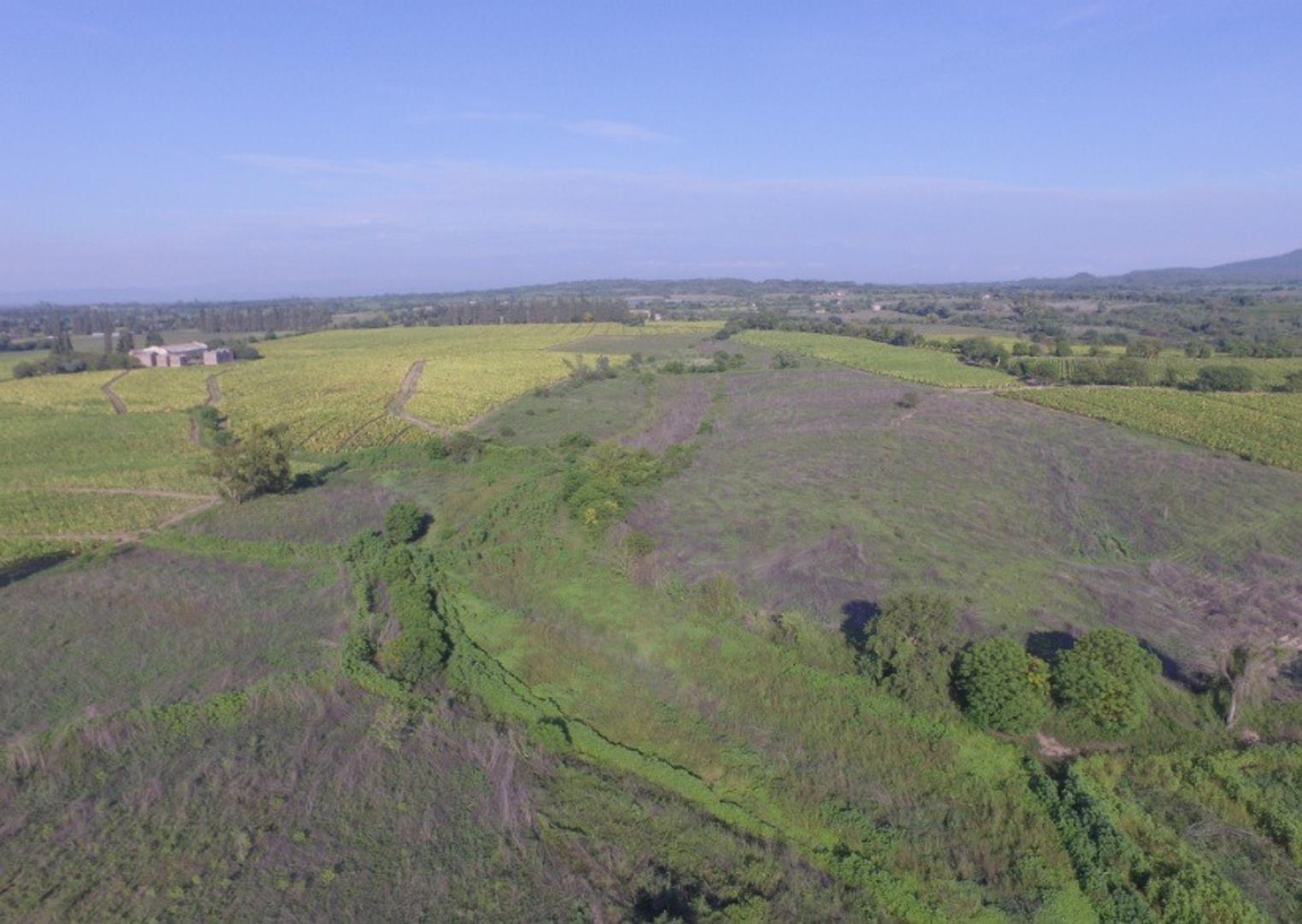 Aguas Caliente Distrito Pampa Blanca