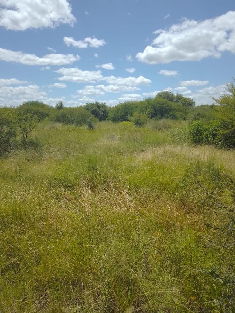 Campo en Venta Ganadero