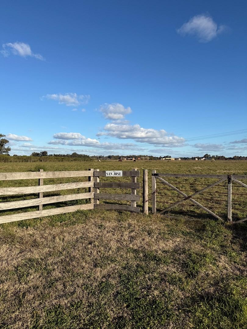 Terreno Emp. Rural  en Venta en Zárate, G.B.A. Zona Norte, Argentina