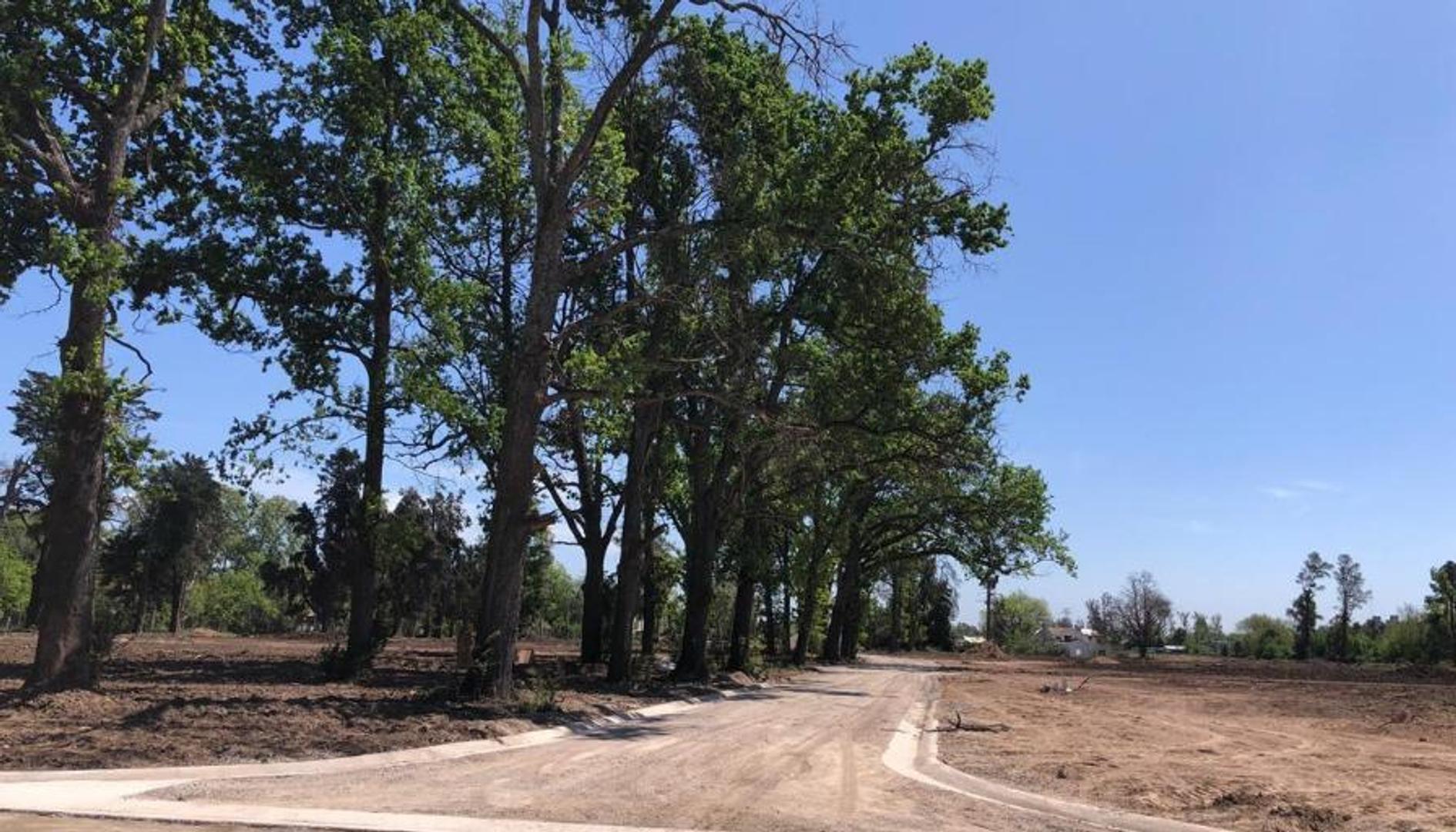 Lote en nuevo proyecto - Barrio La Estela - Pilar