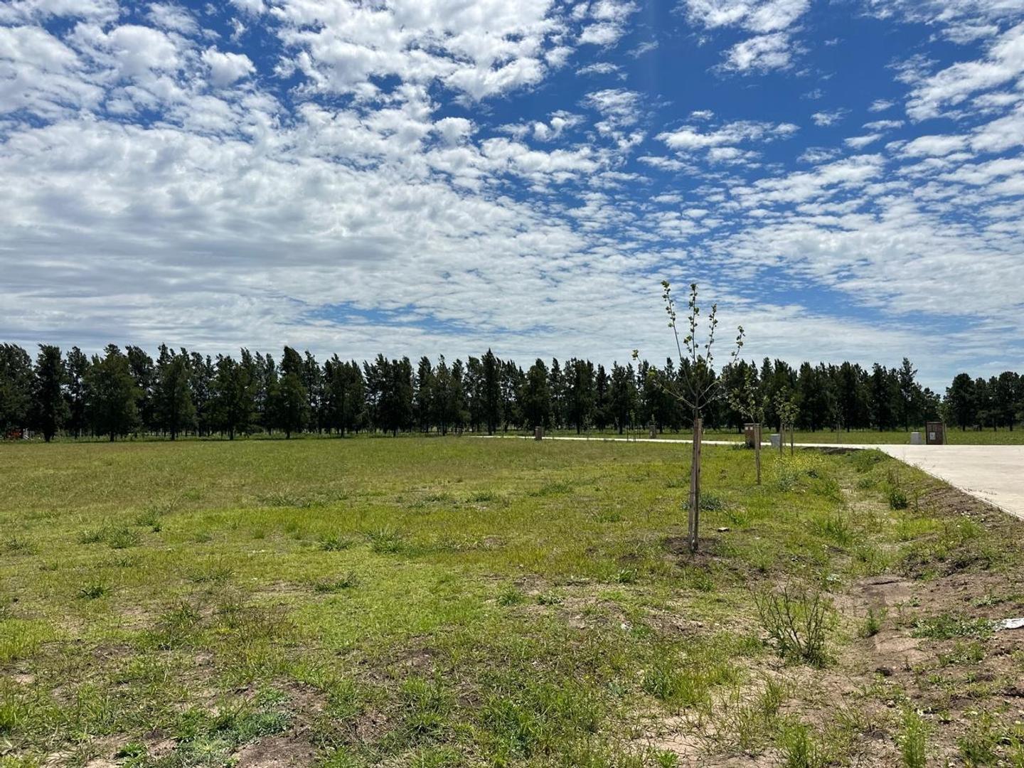 TERRENO CARDALES FINANCIADO BARRIO ABIERTO