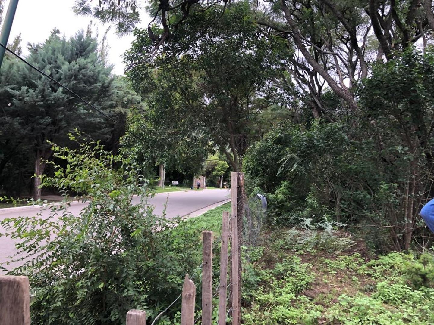 Francisco De La Mota