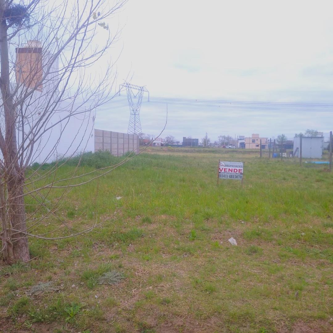 Rigoberta Menchu 100