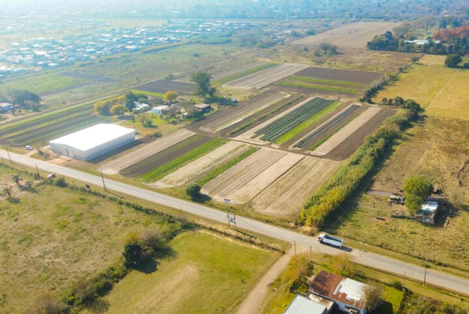 Rene Favaloro y Alfonsina Storni - Lotes 2.500 m2 - Loteo Industrial Granadero Baigorria