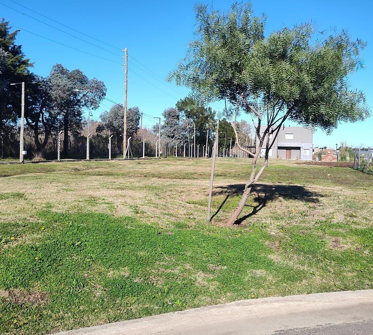 Terreno en Venta de 457,0 m2