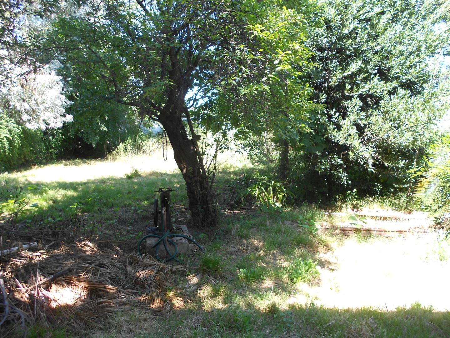 Zorrilla De San Martín 4850