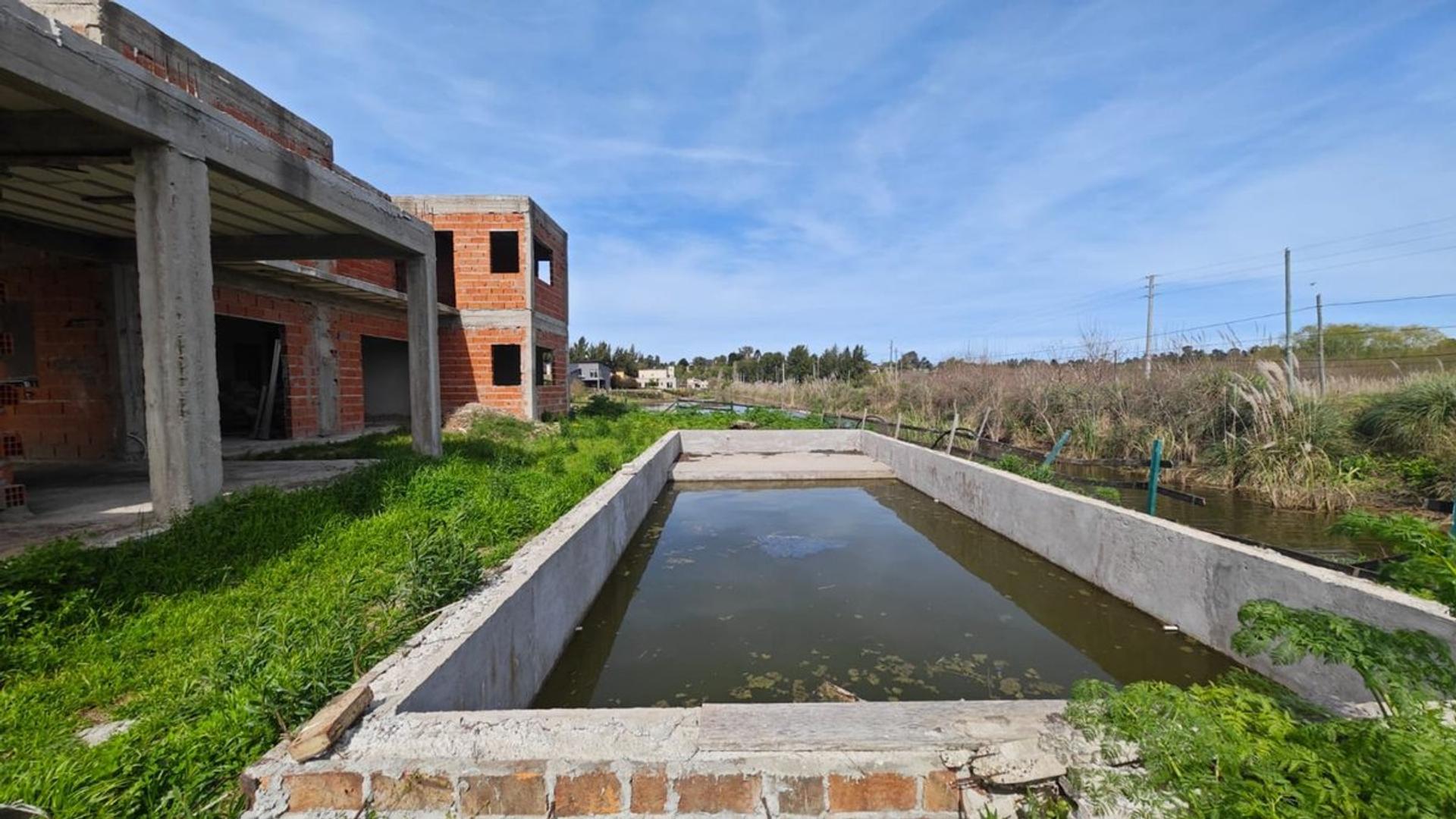 Tulipan 3900