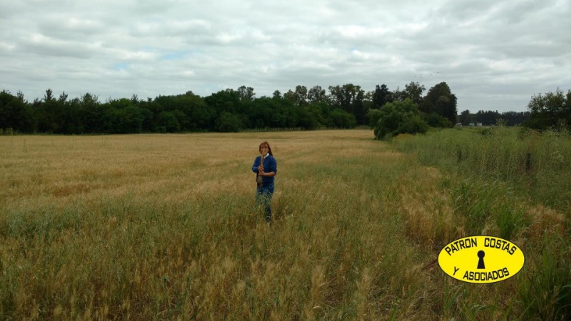 2324HP- venta campo lujan ruta 6