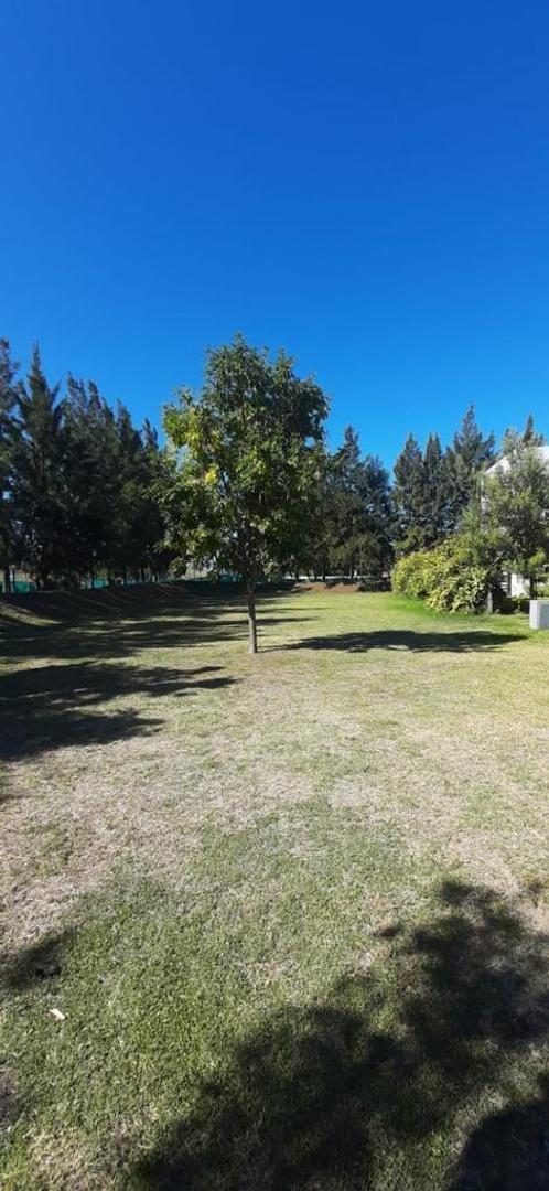 Terreno en Venta de 991,0 m2