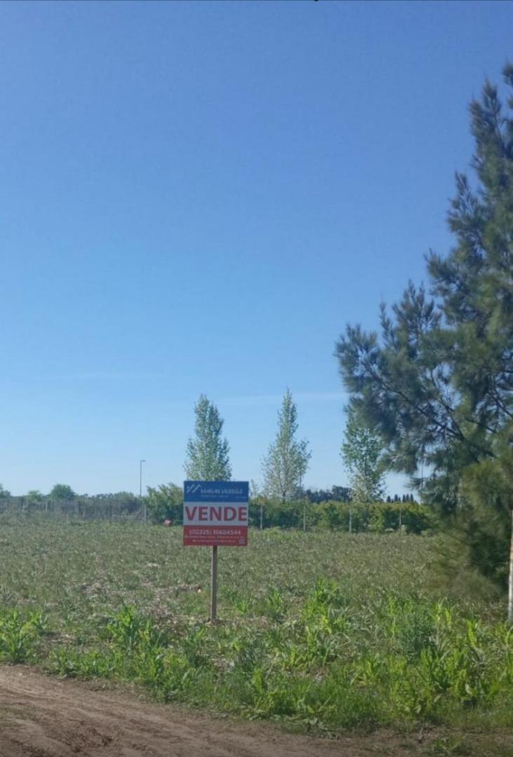 Terreno en Venta de 2006,0 m2