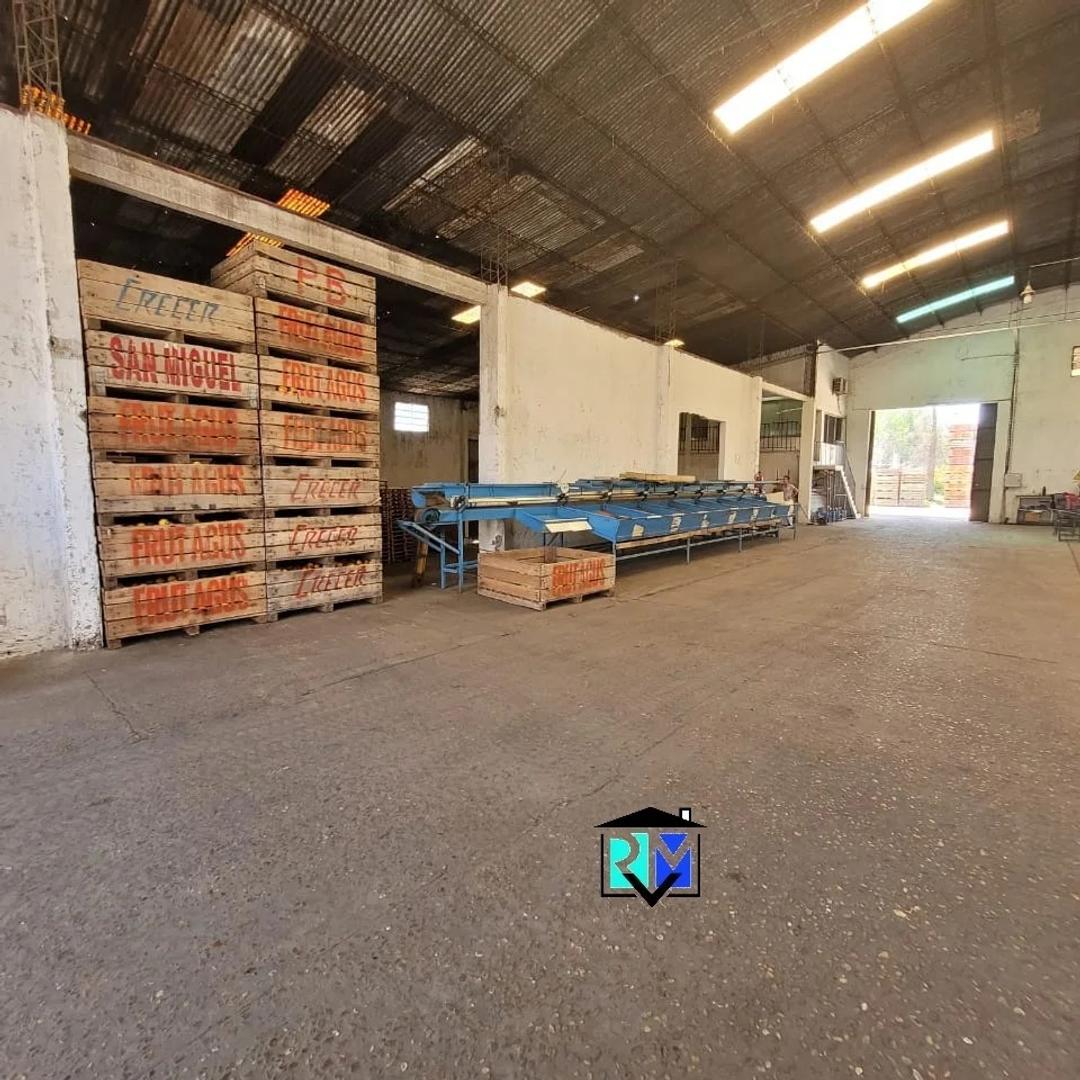 Rafael Obligado  1209