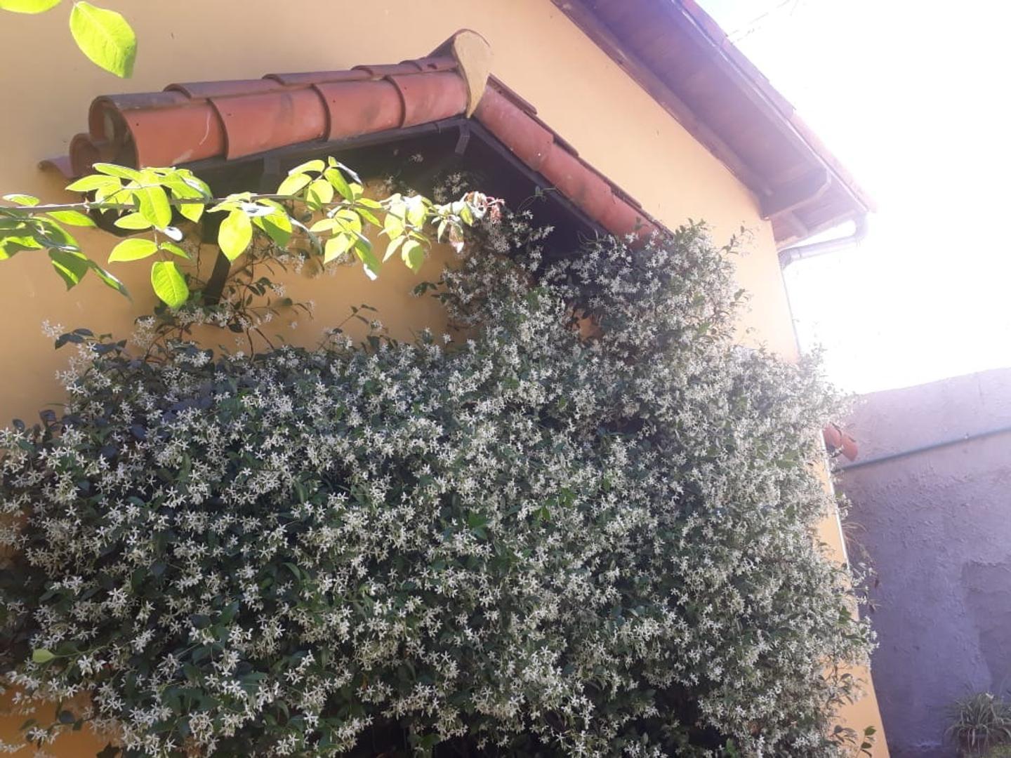 Aberastain Hermoso Estilo