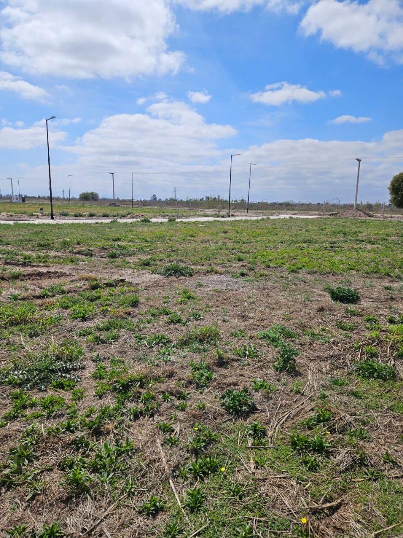 Terreno en Venta de 321,0 m2