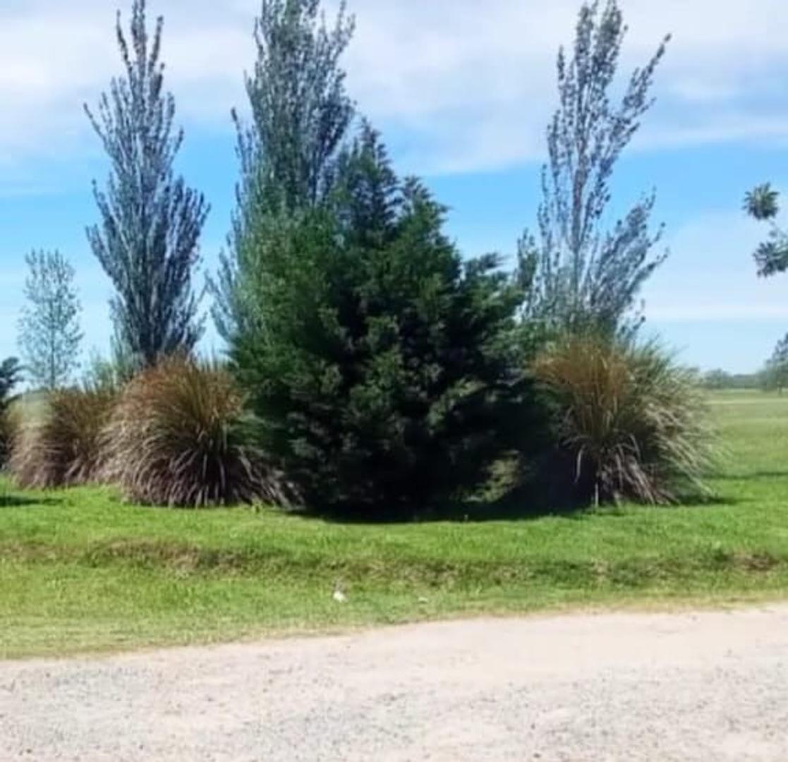 Terreno en Venta de 654,0 m2