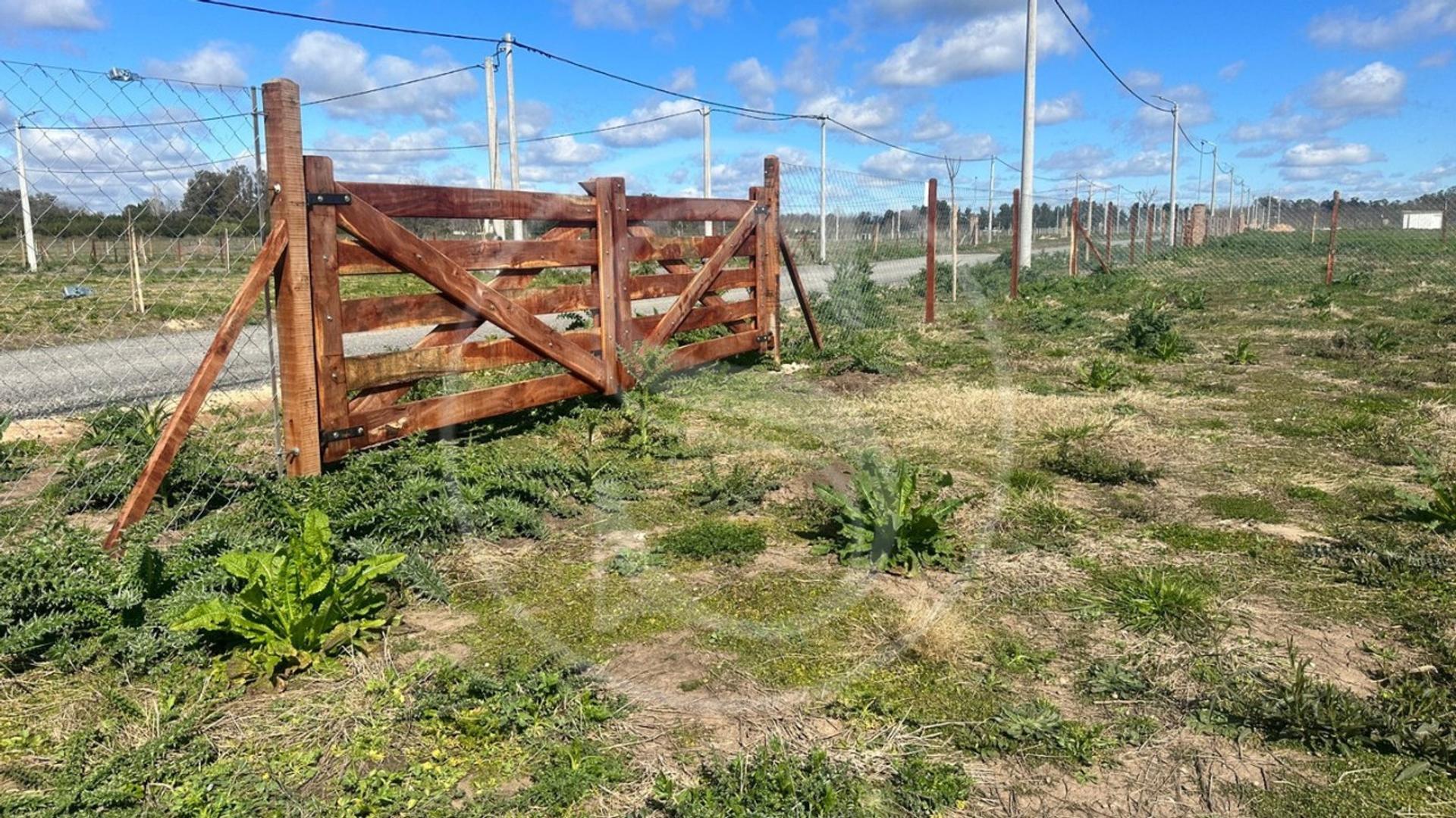 Rio Sauce Grande 100