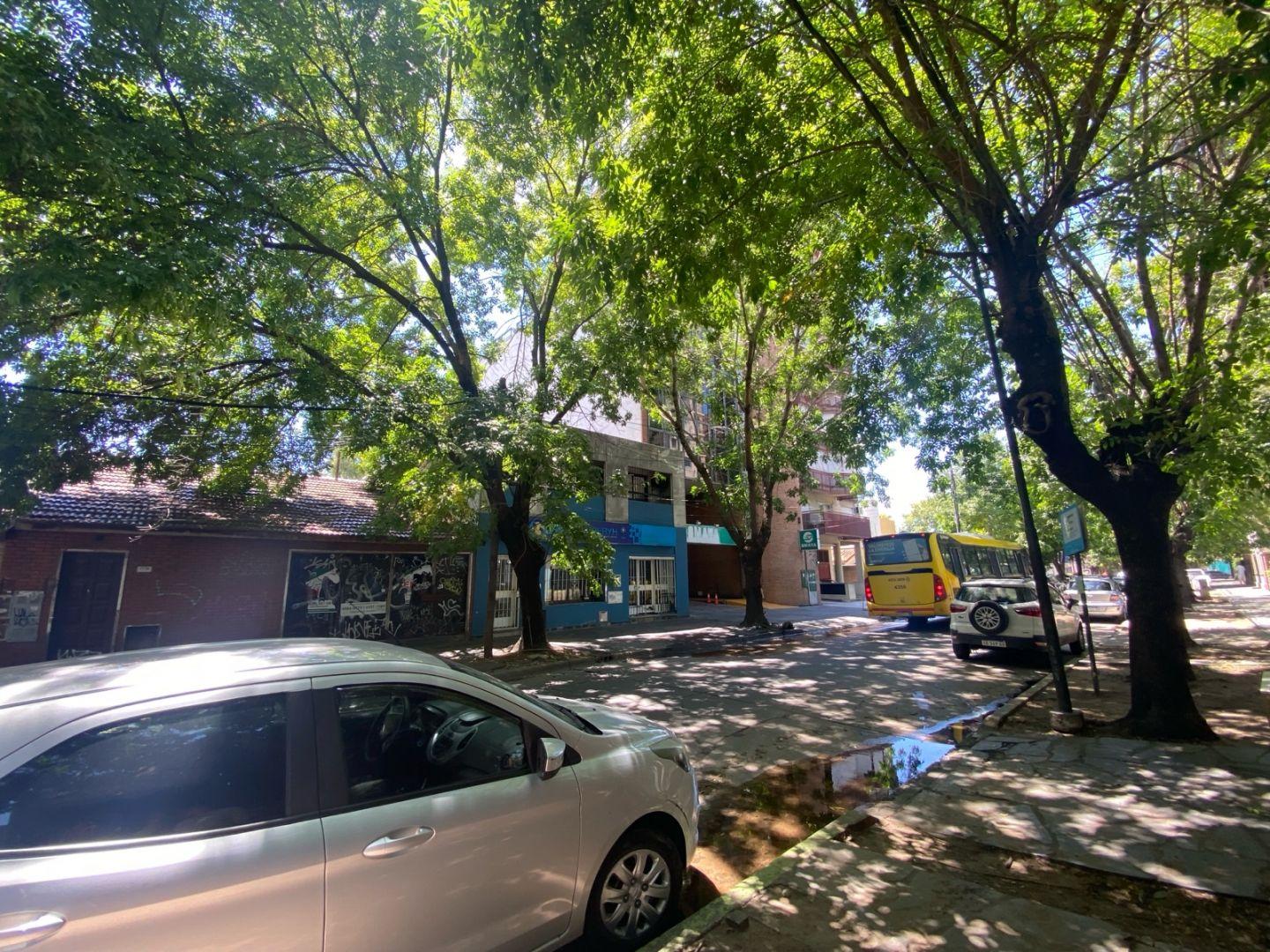 maestro angel d´elia 1700