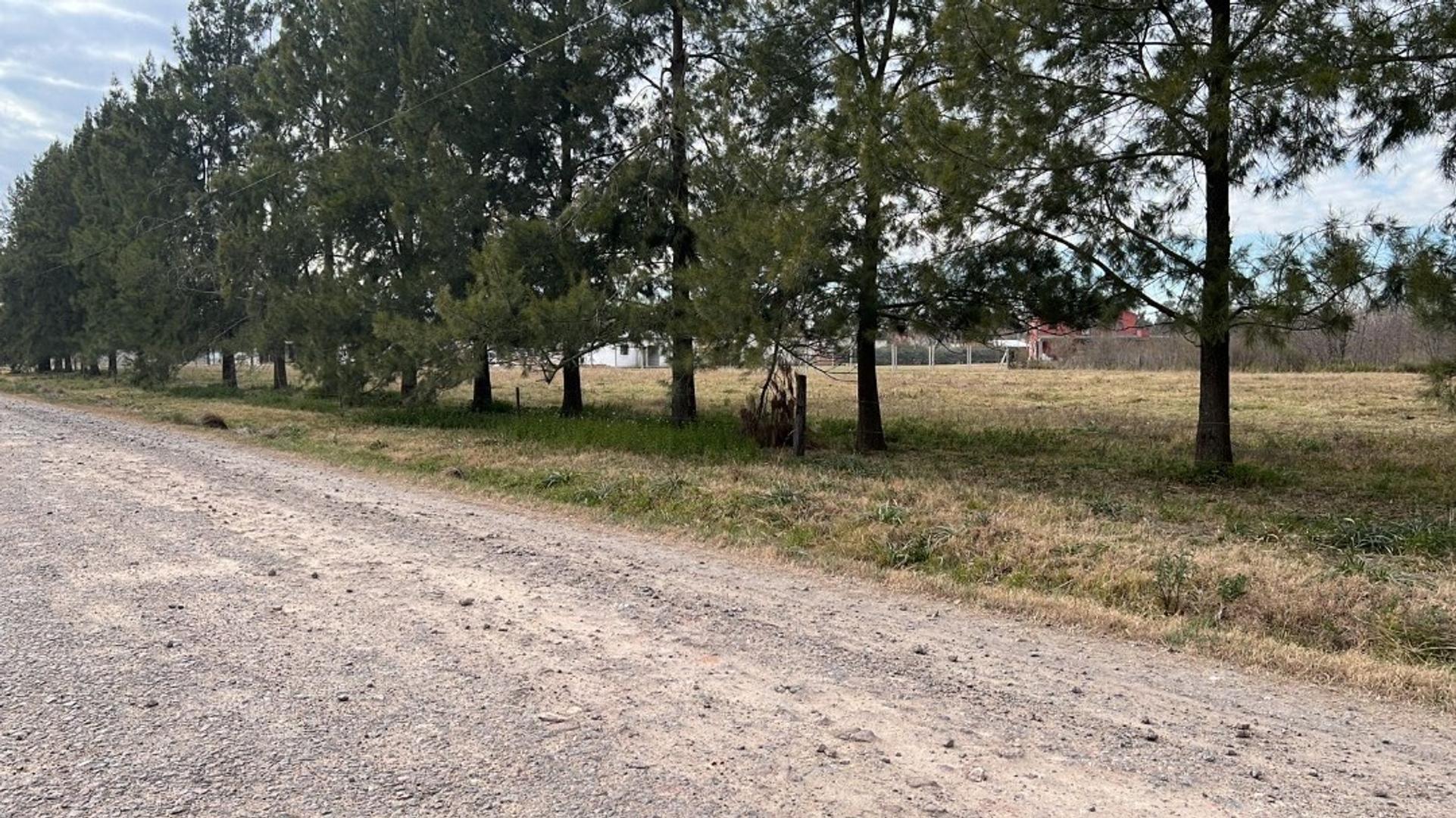 Terreno en Venta en Cañuelas, USD 45.000