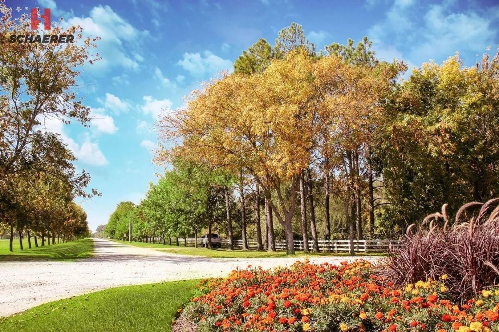 Barrio Privado Fincas De San Vicente Golf 267