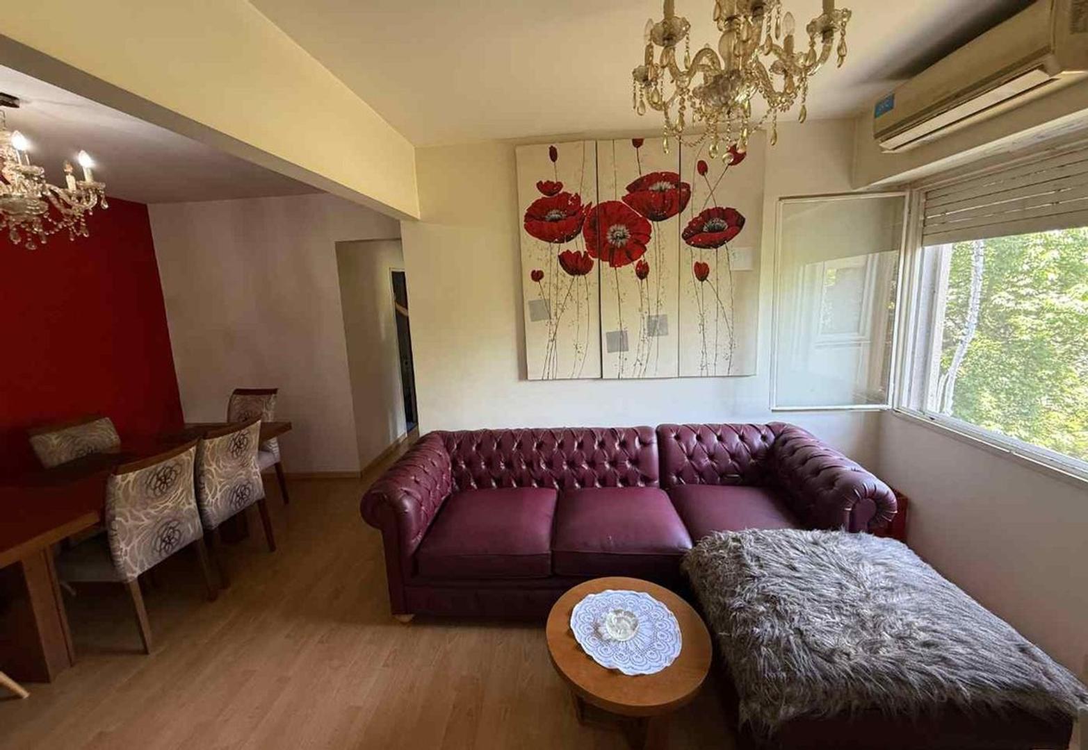 Remedios de Escalada de San Martín 1600