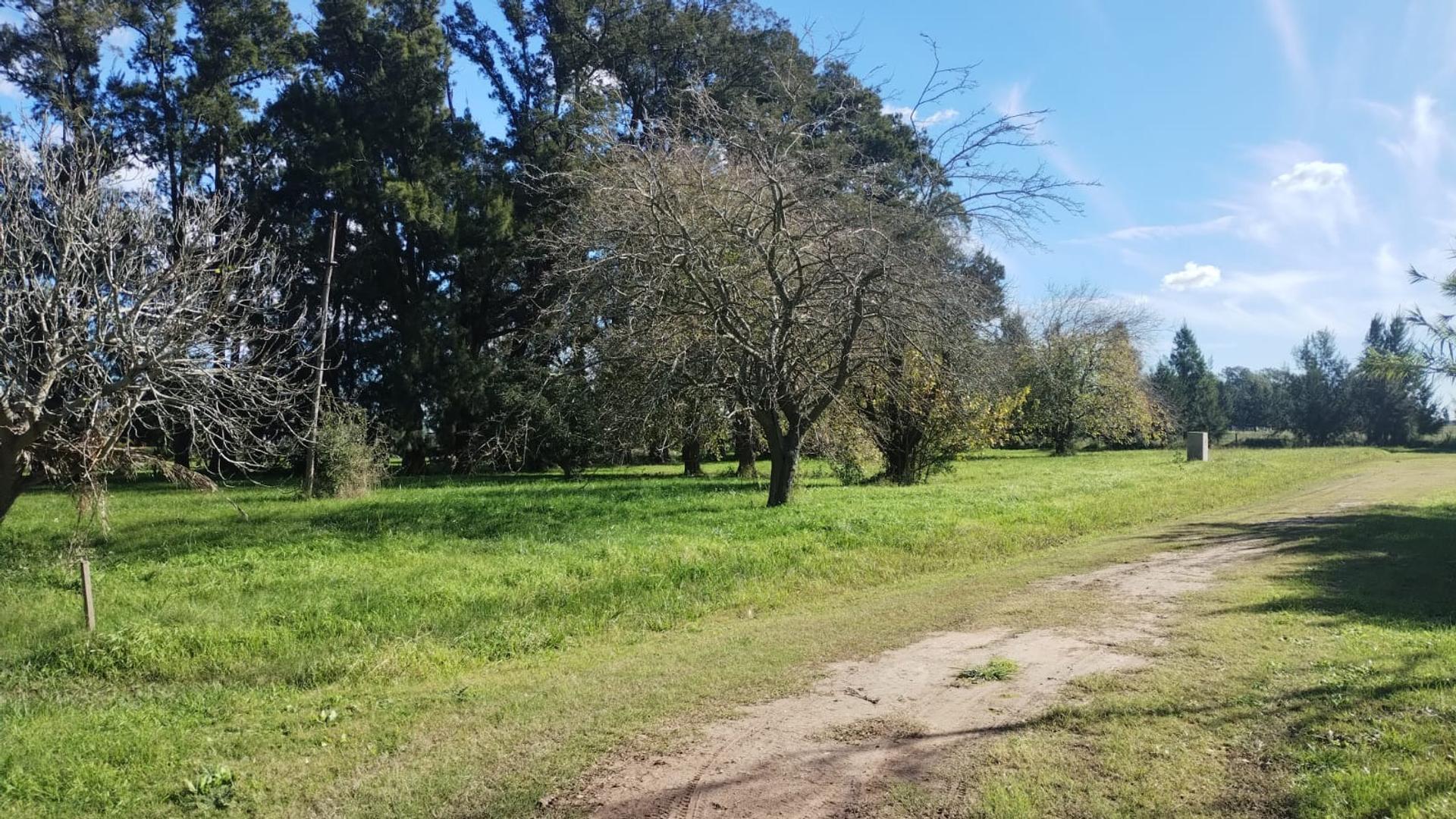 Terreno en Venta en La Plata, USD 10.000