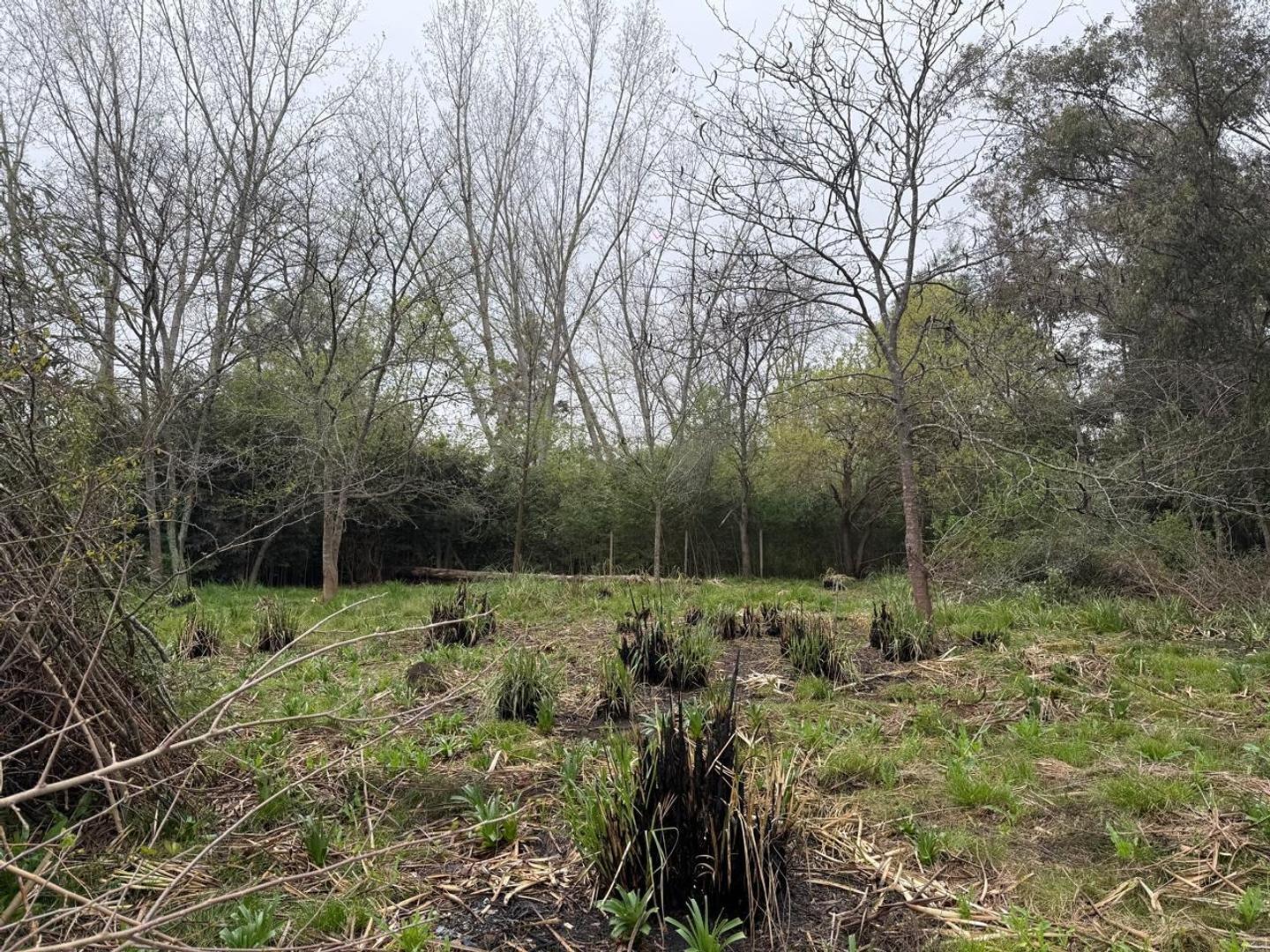 Terreno en Venta en Pilar, USD 240.000