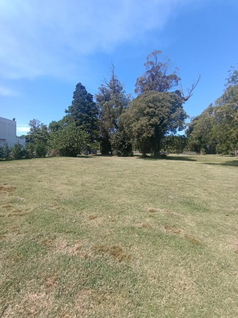 Terreno en Venta de 1021,0 m2