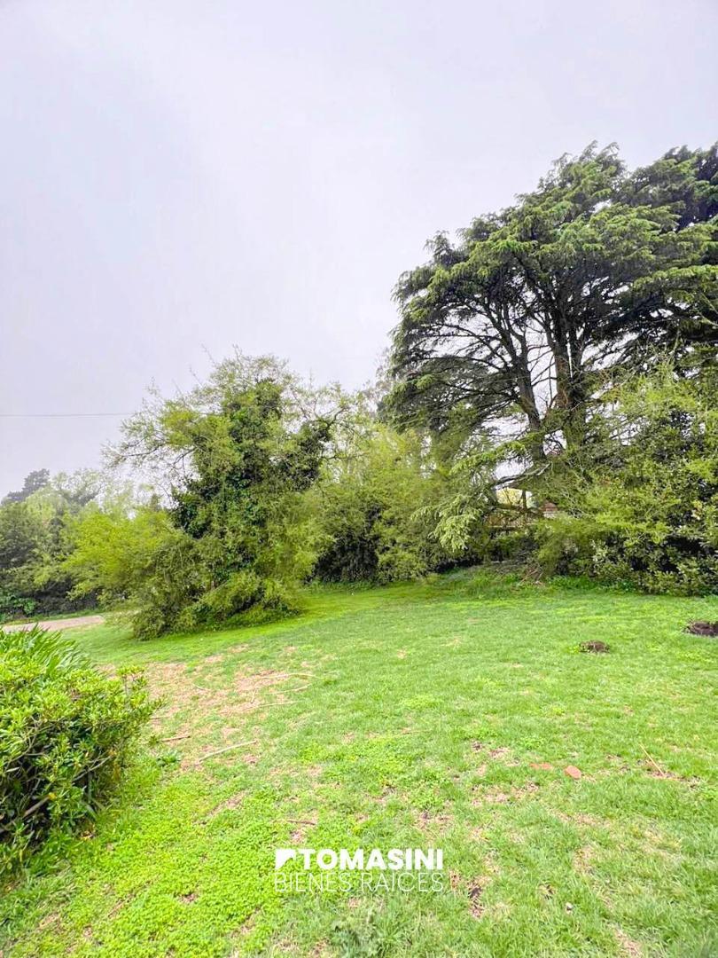 Sierra De Los Padres-bruno 100