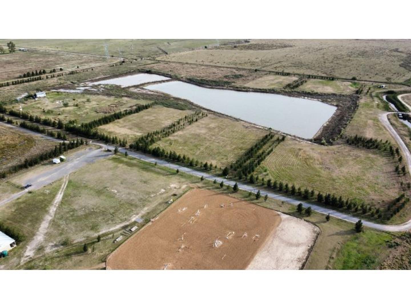 Venta Terreno 1 Hectárea - Chacras Del Lago - Haras De Funes