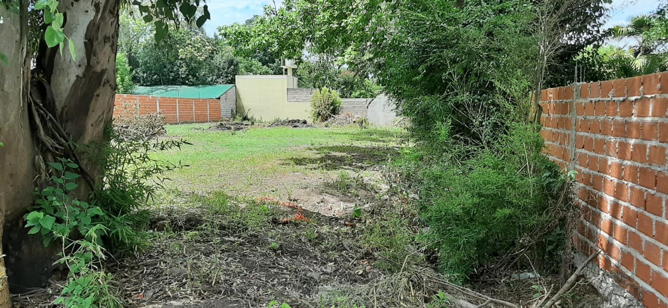 Lisandro De La Torre 5400