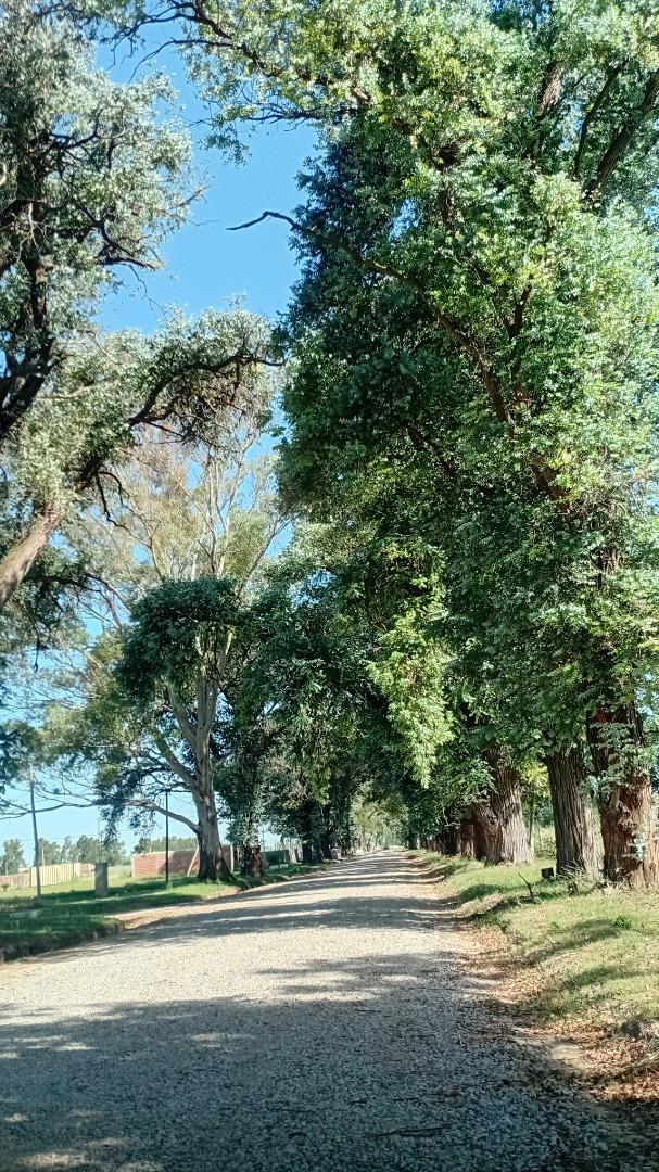 Terreno en Venta de 324,0 m2