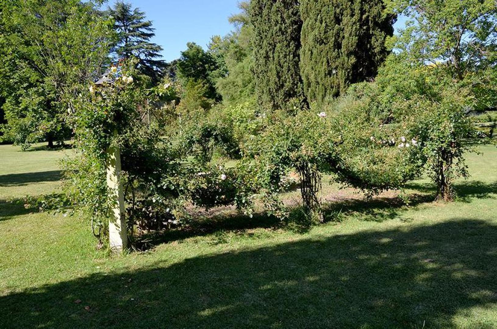 Lote de 9.775m2 en Mashwitz Los Naranjos casa principal, pileta