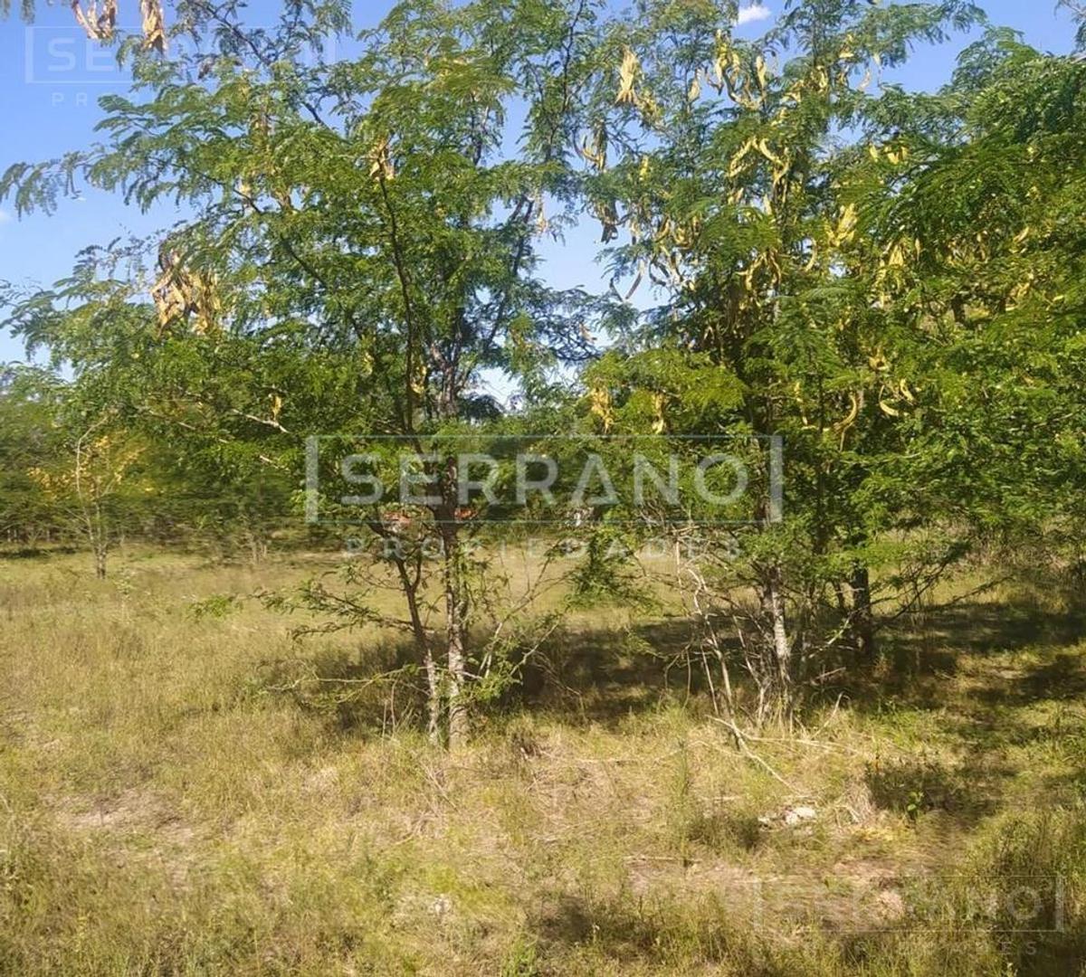 Venta Complejo de Cabañas Turisticas en Exaltacion de la Cruz