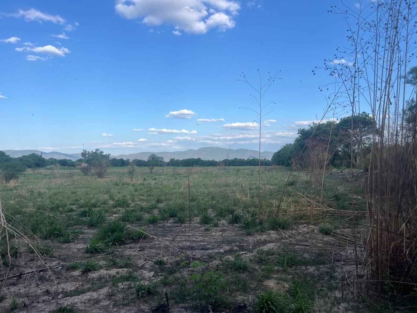 Venta de 3 Hectareas