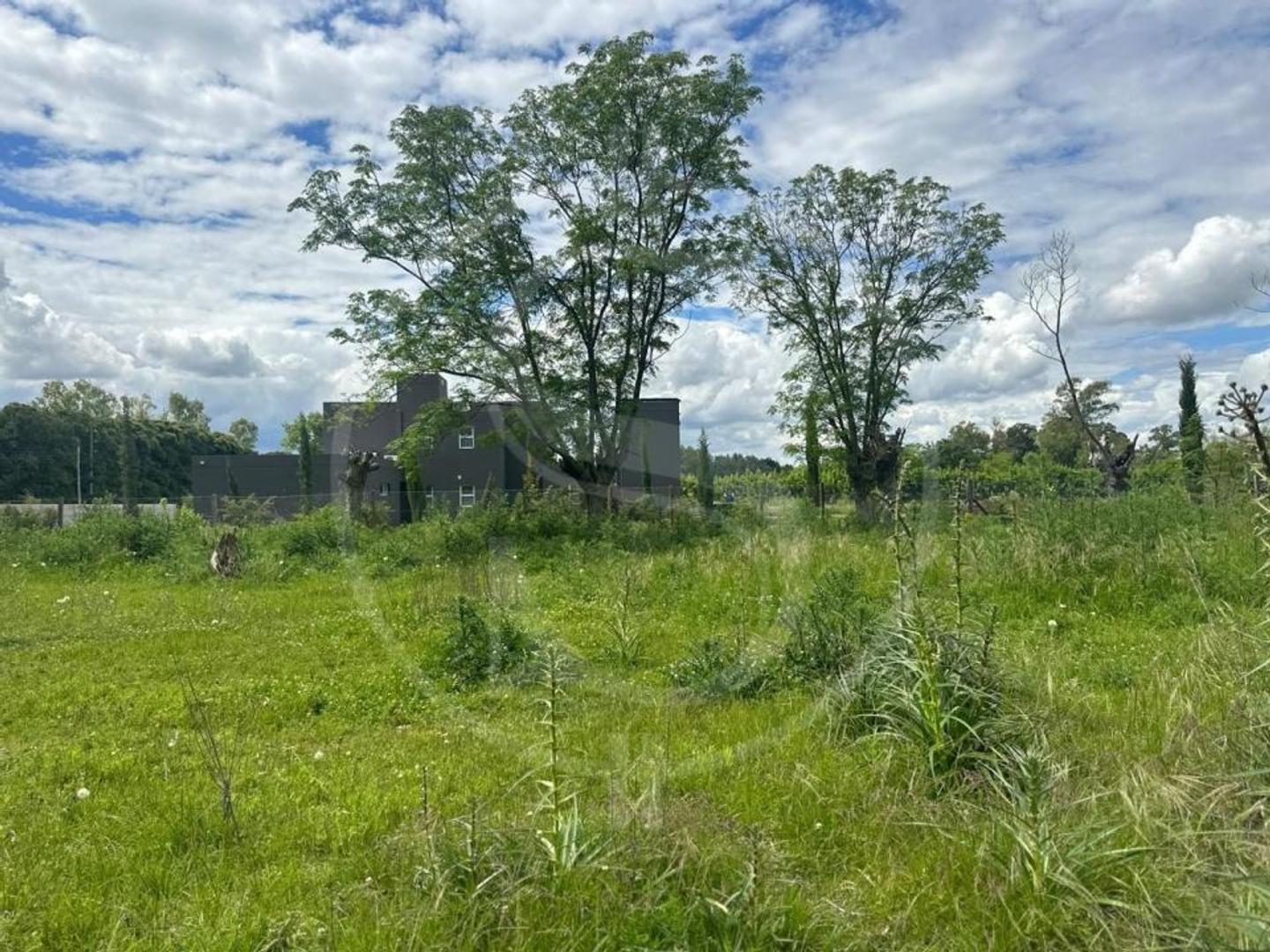 TERRENO EN VENTA CON ARBOLEDA SAN ANDRES DE GILES