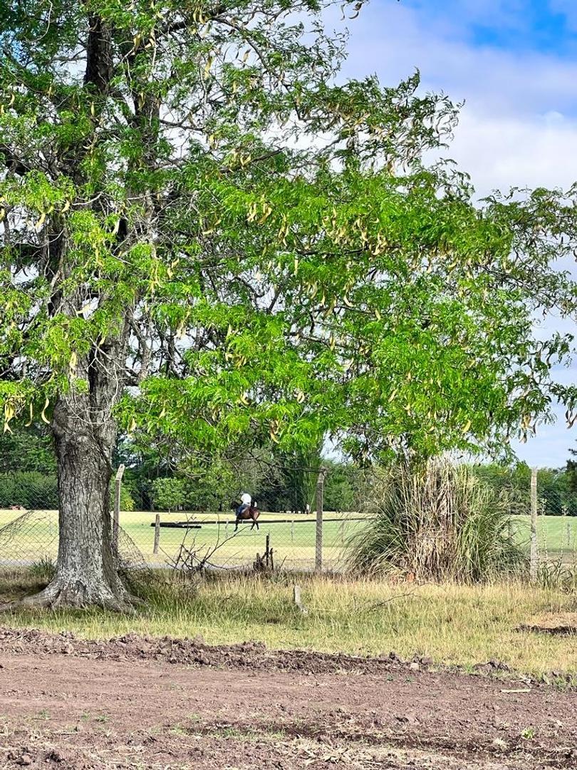 Terreno en Venta de 450,0 m2