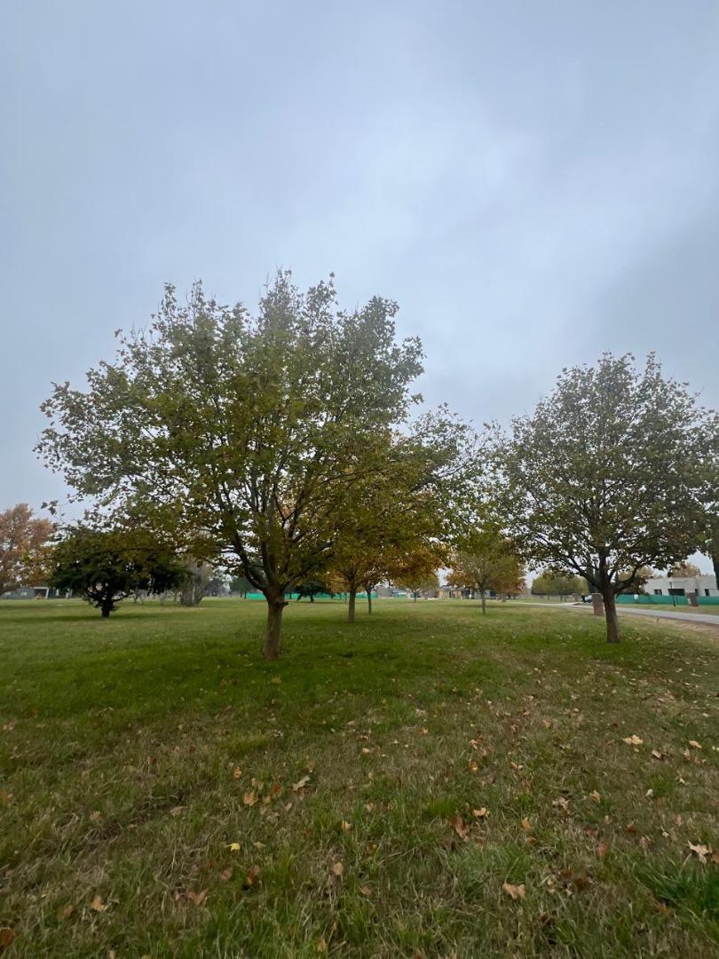 Mirabosques Cardales