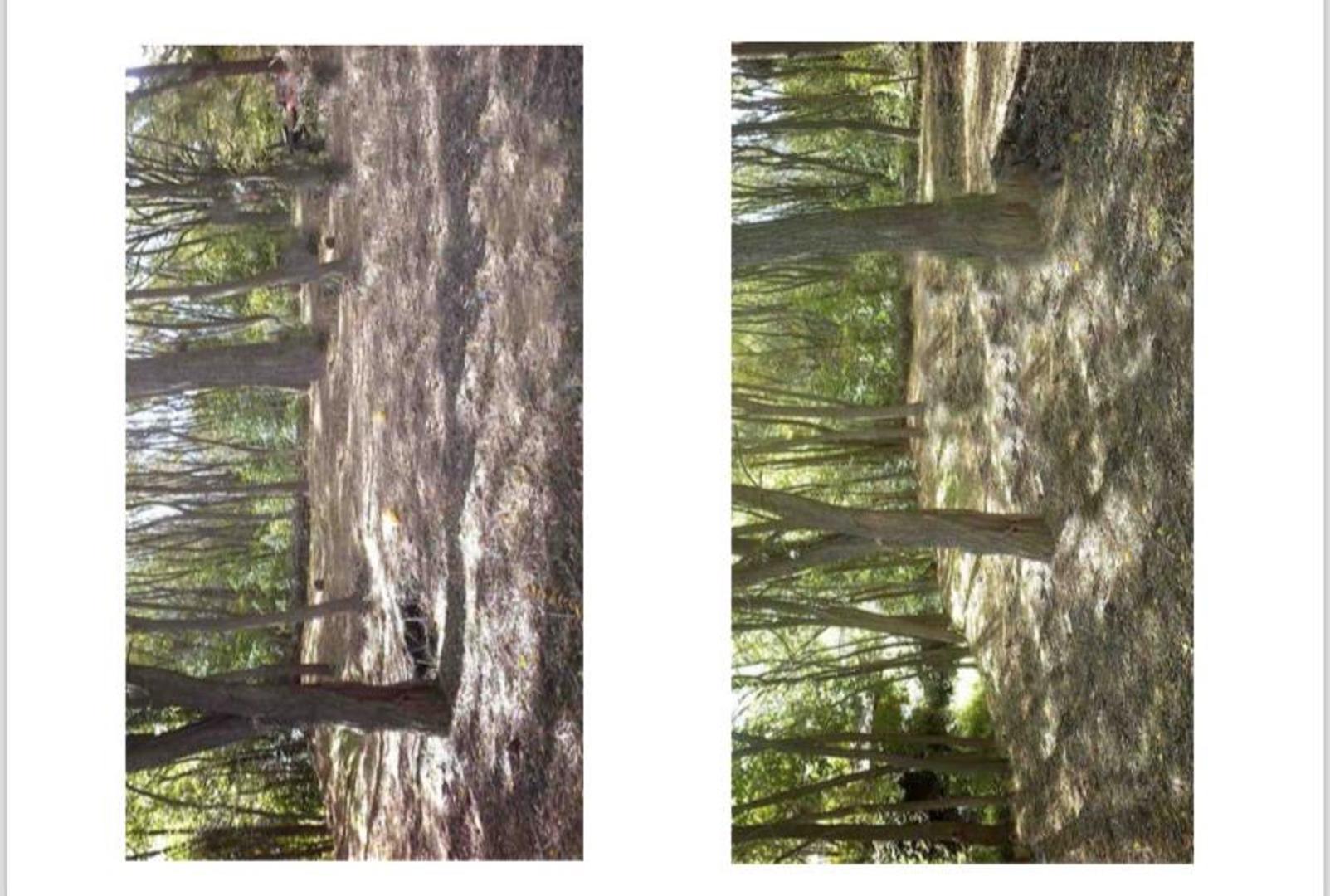 Venta Terreno Potrero de los Funes