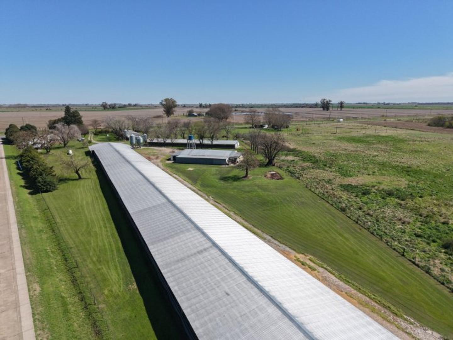 Granja avicola a la venta, posibilidad de entrega + financiación.