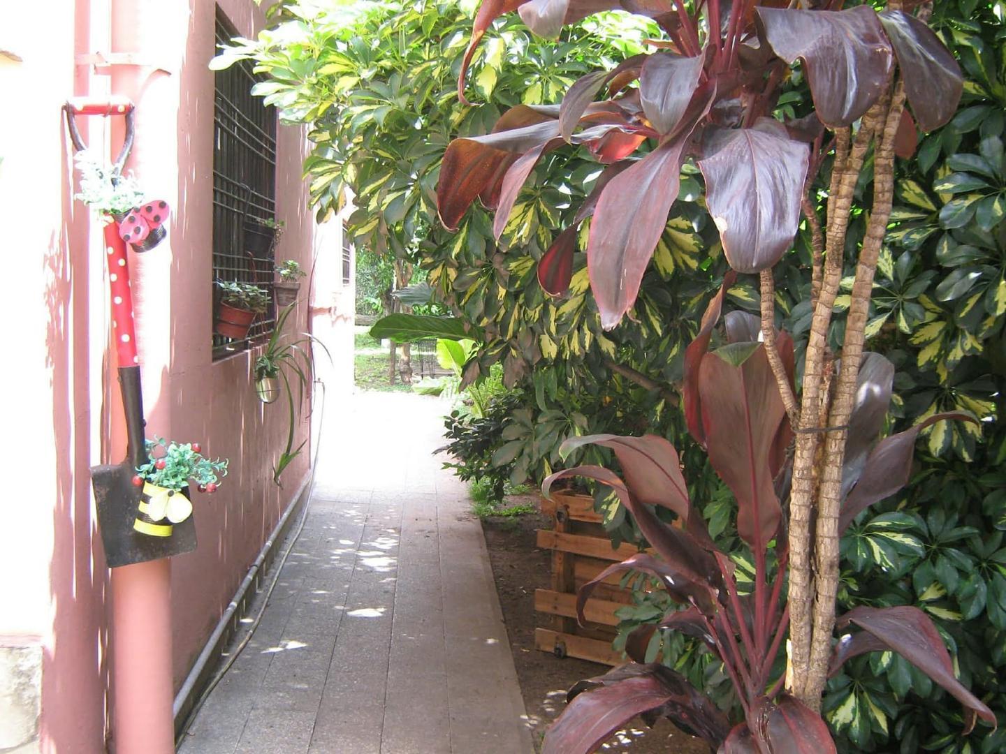 Intendente Casares 2259