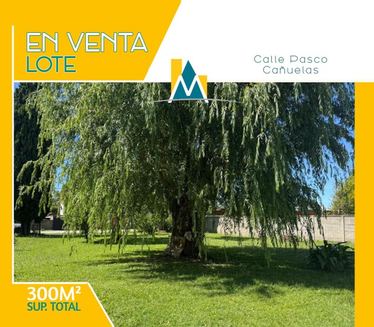 LOTES-TERRENO EN CAÑUELAS