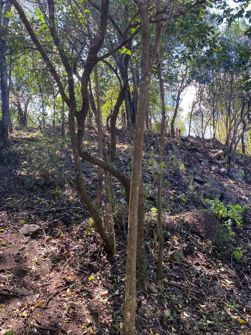 ¡LOTE 452m² Río Ceballos Serranías con ESCRITURA!