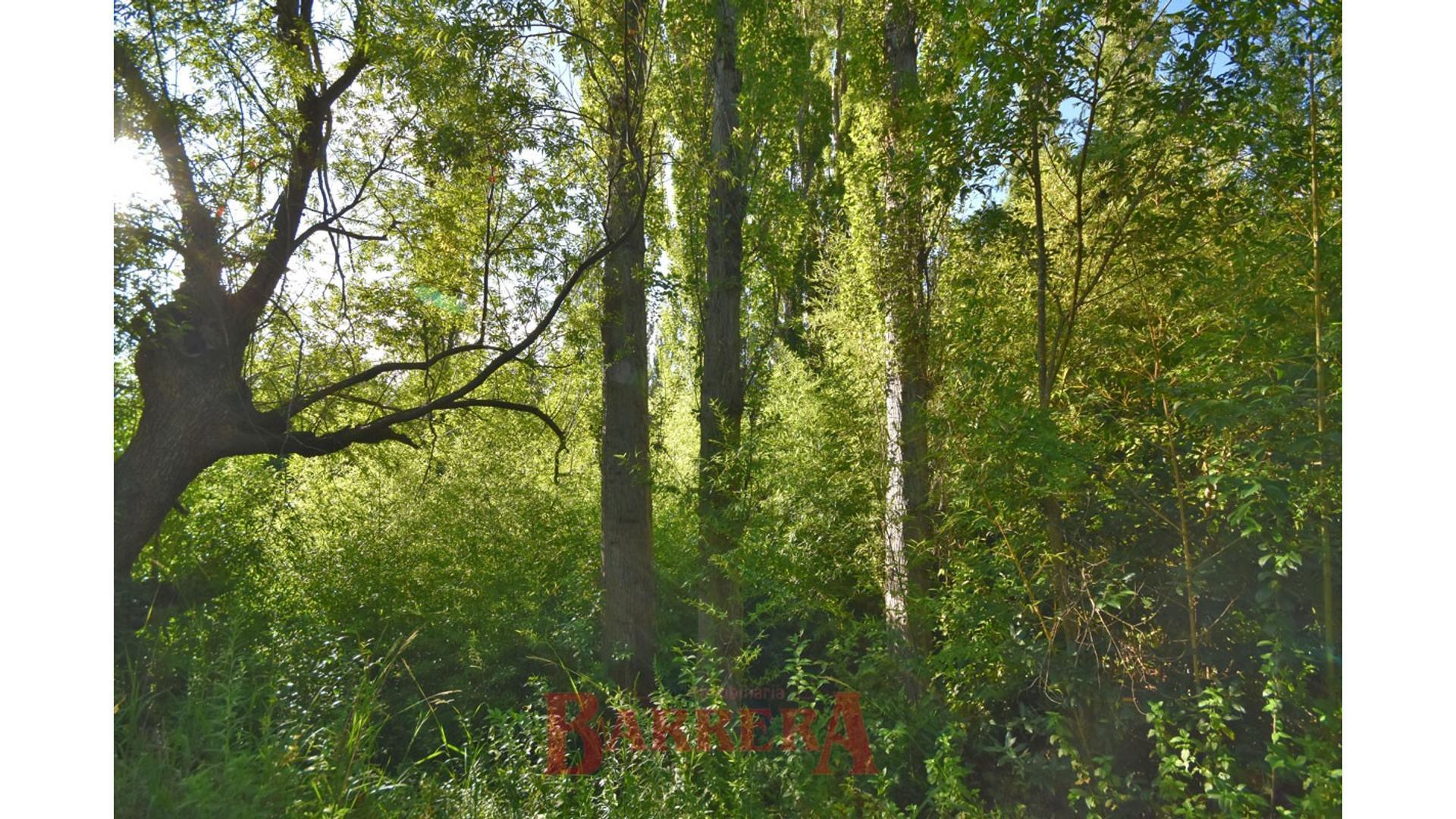 Terreno en zona residencial a metros country Chumamaya