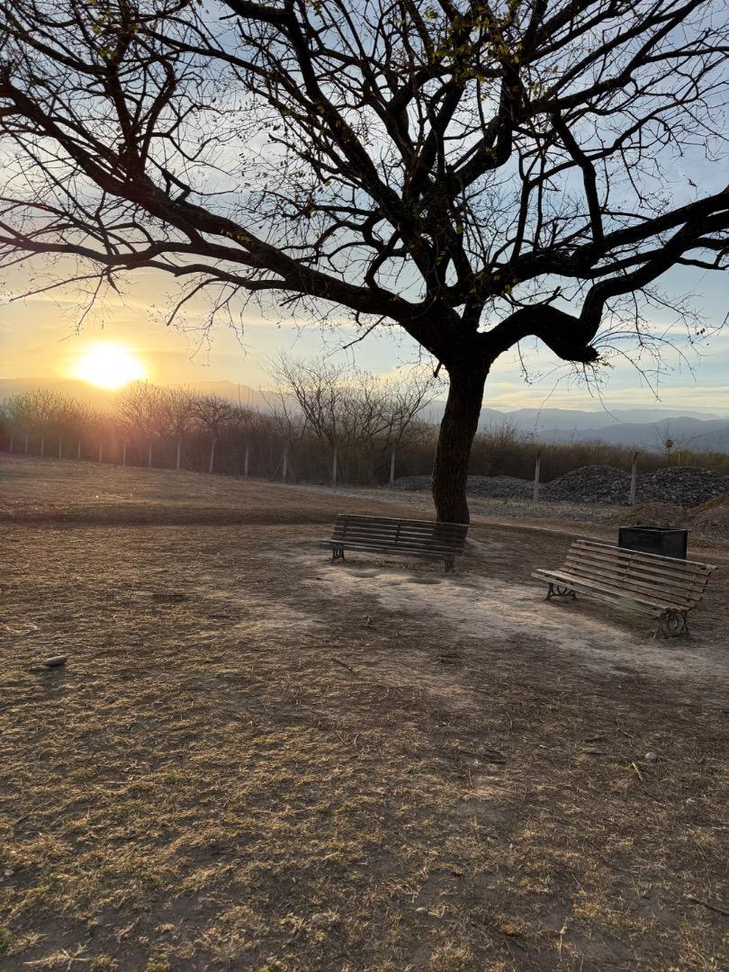 Terreno en Venta de 1000,0 m2